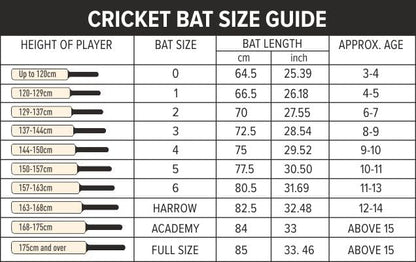 DSC Drake Kashmir Cricket Bat For Mens and Boys (Beige, Size -6) | Material: kashmir Willow | Lightweight | Free Cover | Ready to play | For Intermediate Player | Ideal For Leather Ball