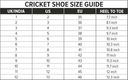 DSC Beamer Cricket Shoes | For Boys and Men | Light Weight | Durable