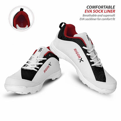 DSC Rigor X Cricket Shoes for Mens