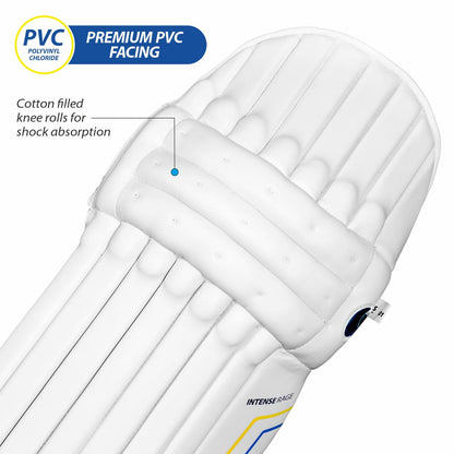 DSC Intense Attitude Cricket Batting Legguard