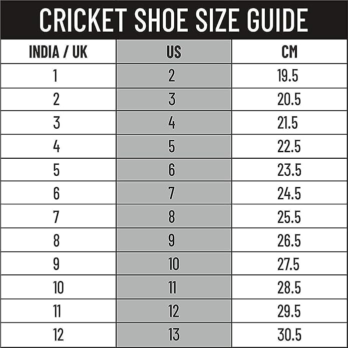 DSC Beamer Cricket Shoes | For Boys and Men | Light Weight | Durable