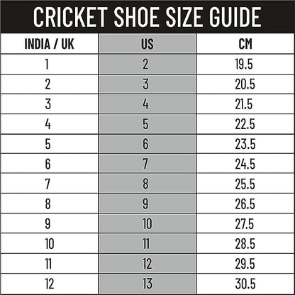 DSC Beamer Cricket Shoes | For Boys and Men | Light Weight | Durable