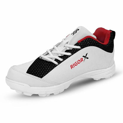 DSC Rigor X Cricket Shoes for Mens