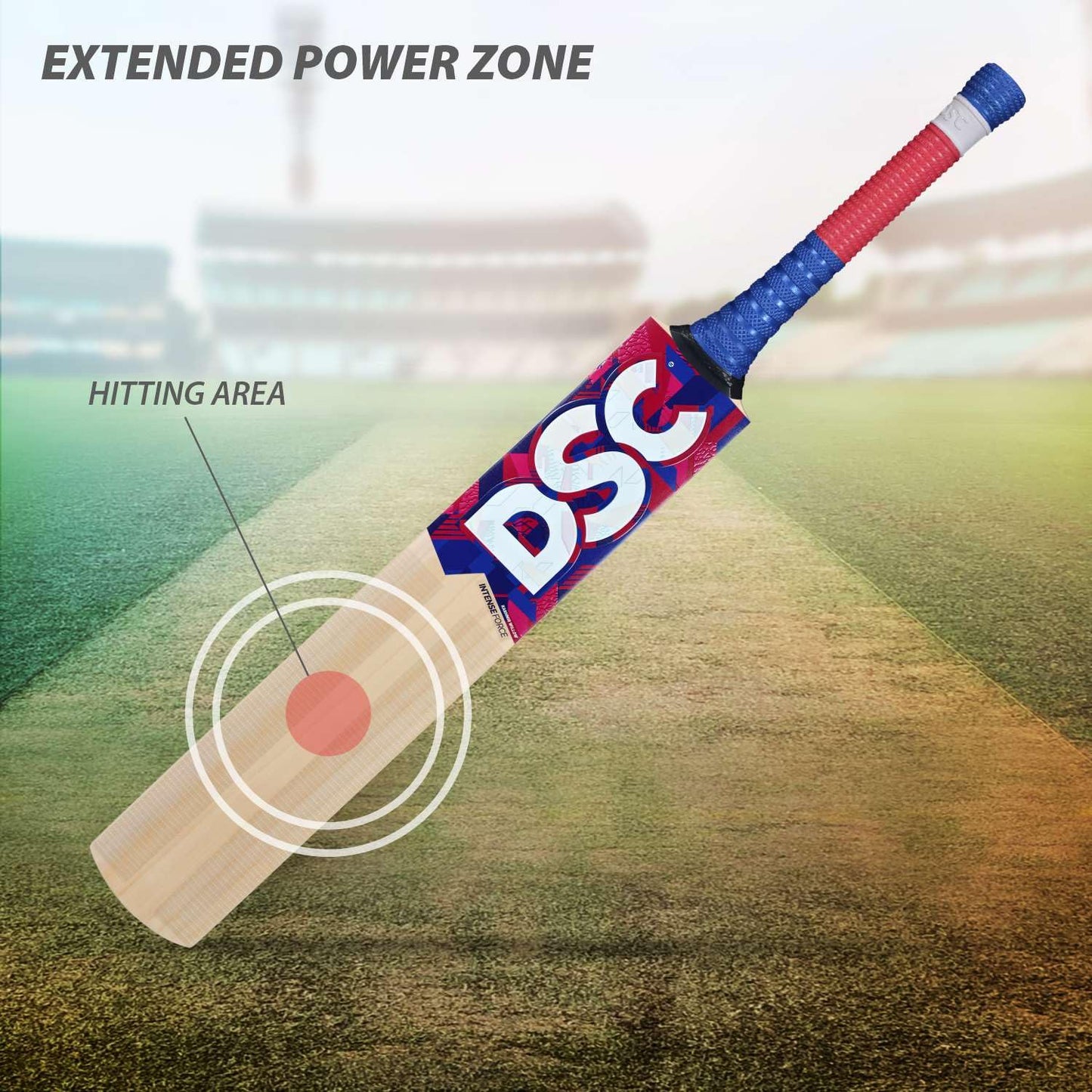 DSC Intense Force Kashmir Willow Cricket Bat for Leather Ball | Light Weight | Free Cover|