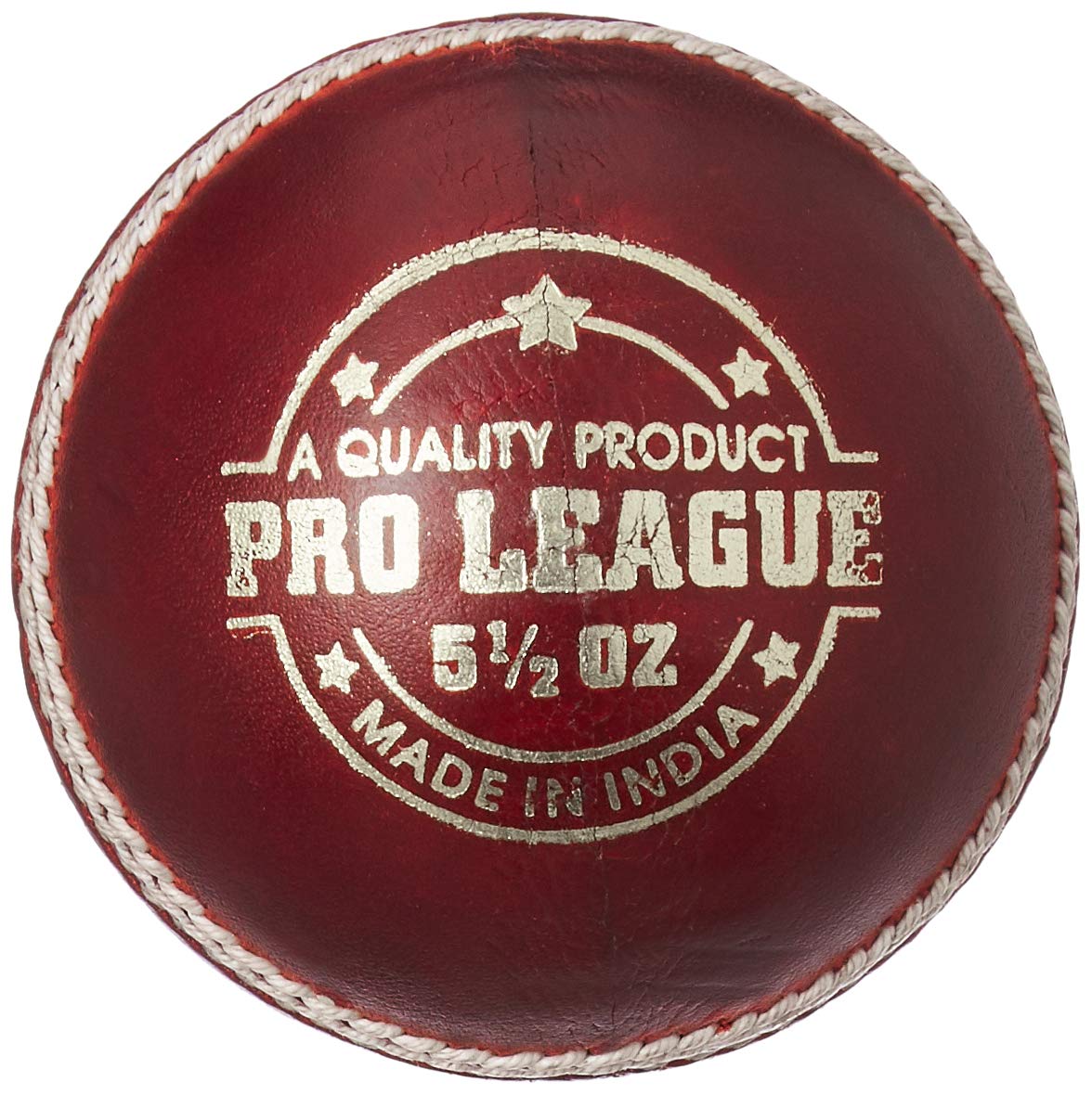 DSC Pro League Cricket Leather Ball (Red)