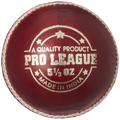 DSC Pro League Cricket Leather Ball (Red)