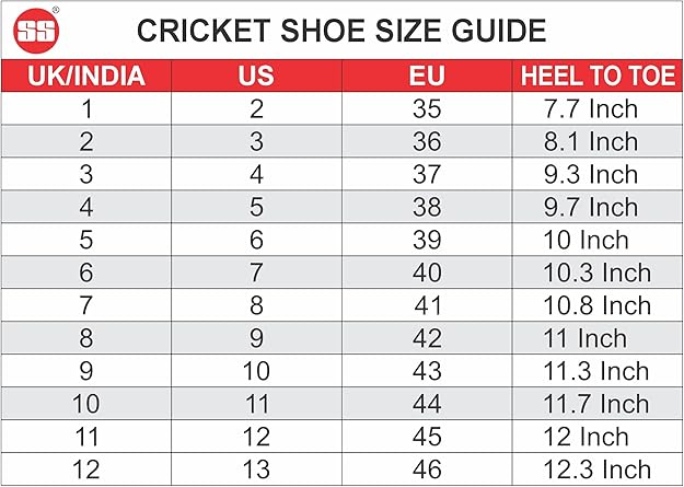 SS Men's Josh Cricket Shoes