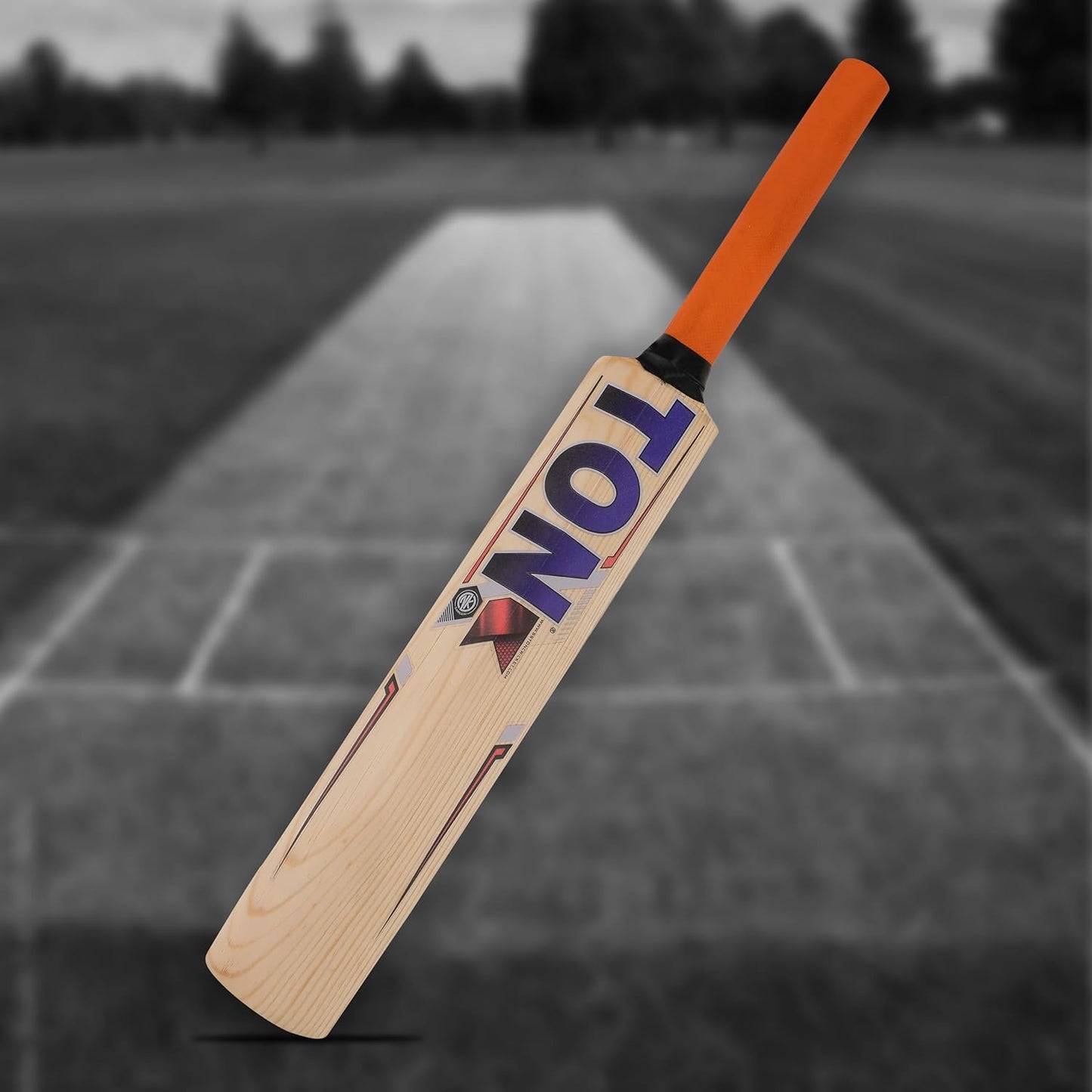 SS Mini Cricket Set for Kids