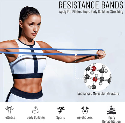 Everlast Aerobic Band Exercise Band for Gym for Women & Men