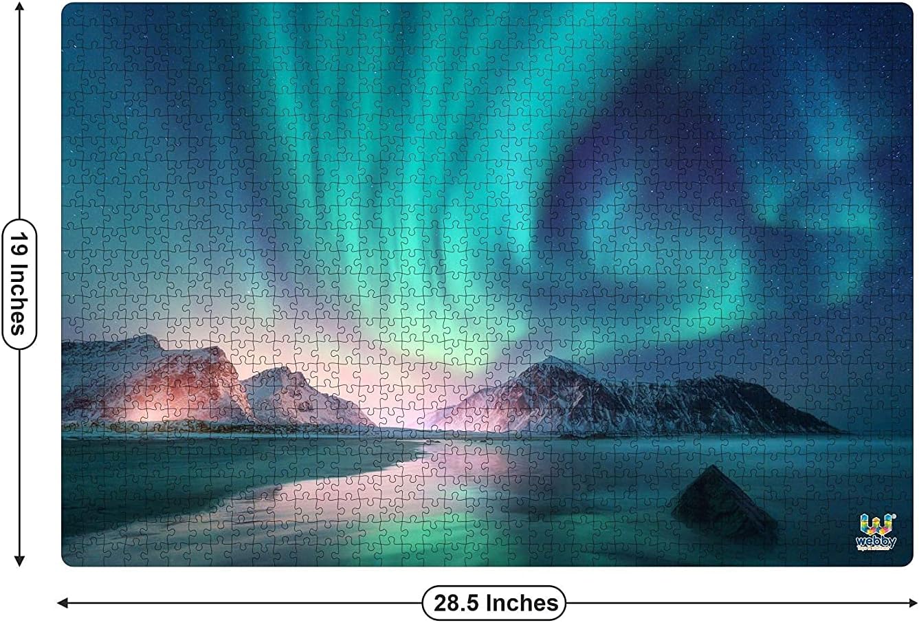 Webby Jigsaw Puzzle |1000 Pieces | Challenging Indoor Puzzle for Teens & Adults | Boosts Focus, Problem-Solving & Creativity | STEM Learning Toy for Ages 14+