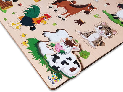 Webby Wooden Insects Montessori Educational Puzzle Board Toy for Boys and Girls Enhances Visual, Shape, and Colour Recognition Boosts Memory & Fine Motor Skills Child-Safe Design