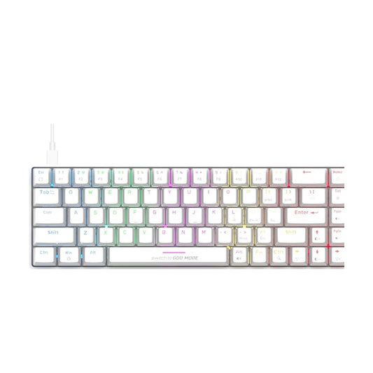 Cosmic Byte CB-GK-36 Artemis 68Key Per Key RGB Wired Mechanical Keyboard with Outemu Swappable Blue Switches and Software (White)